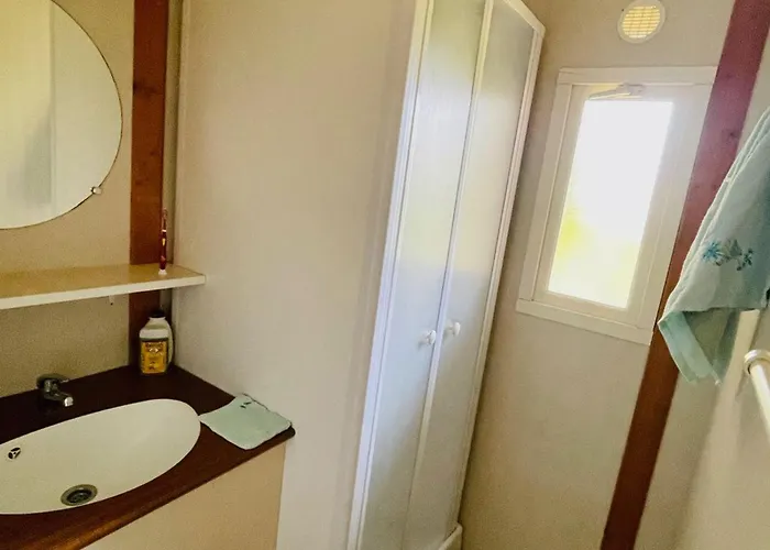 Avec Terrasse A - Api-1-52-902 אתר קמפינג Camon (Languedoc-Roussillon)