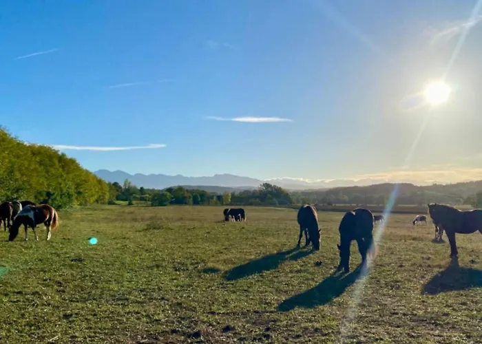 مكان تخييم Avec Terrasse A - Api-1-52-902