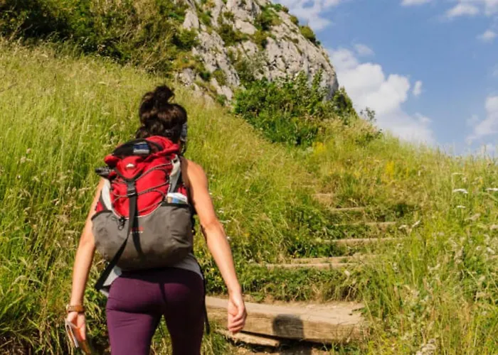 Avec Terrasse A - Api-1-52-902 *